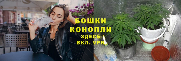 молекула духа Коряжма