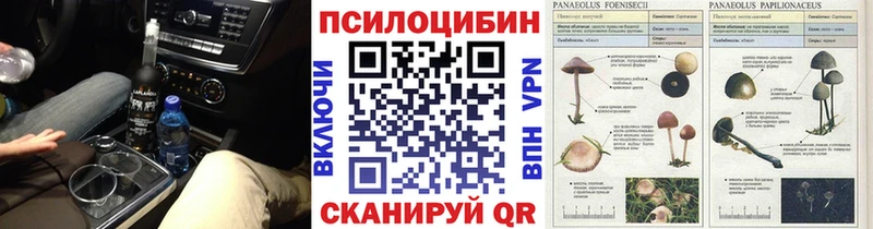 Псилоцибиновые грибы мицелий  Георгиевск 